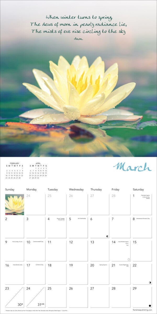 Kalender 2025 Zen Art and Poetry 30x30cm