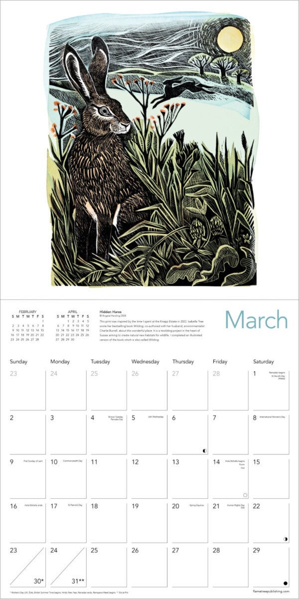 Kalender 2025 Angela Harding 30x30cm