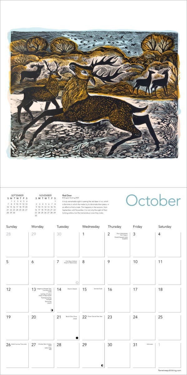 Kalender 2025 Angela Harding 30x30cm