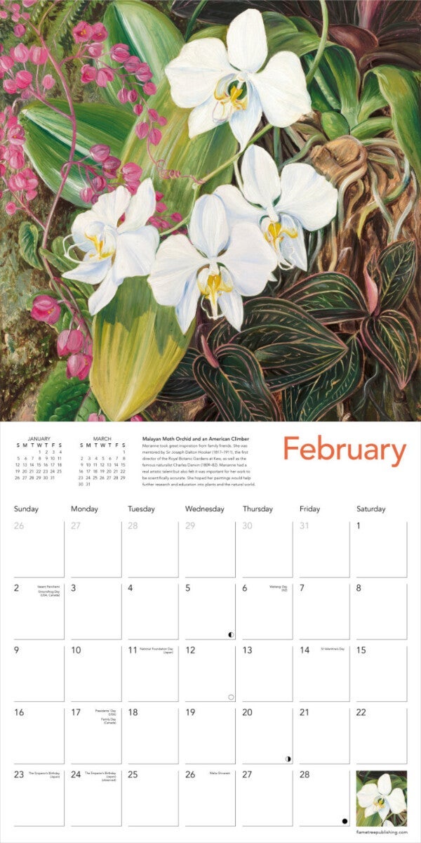 Kalender 2025 Marianne North  30x30cm