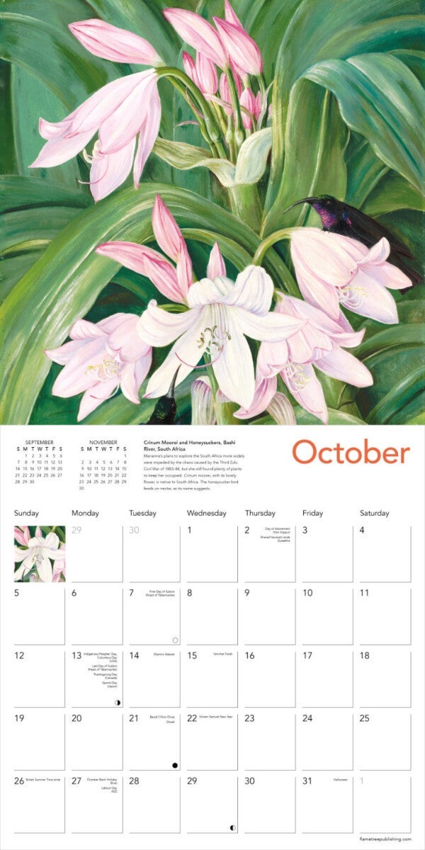 Kalender 2025 Marianne North  30x30cm