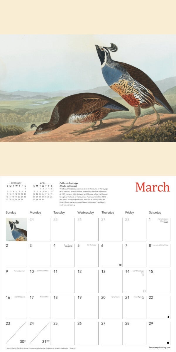 Kalender 2025 Audubon Birds 30x30cm
