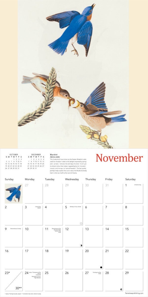 Kalender 2025 Audubon Birds 30x30cm
