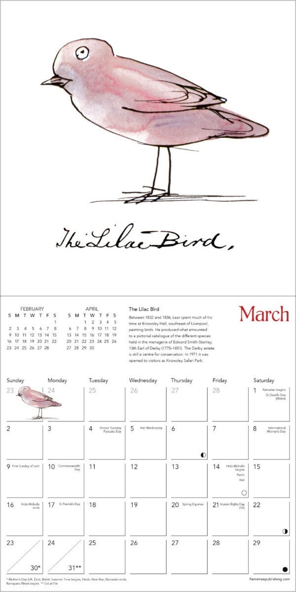 Kalender 2025 Nonsense Birds 18x18cm