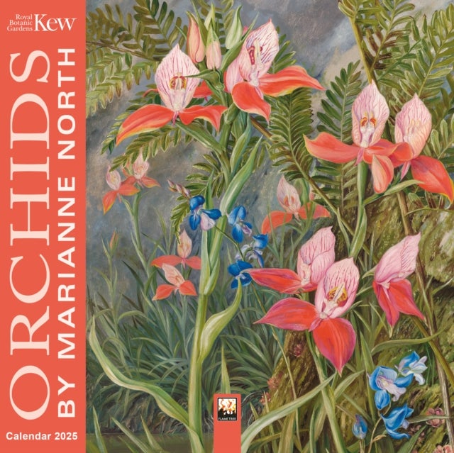 Kalender 2025 Orchids by M North 18x18cm