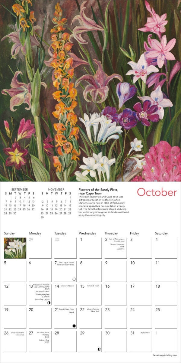 Kalender 2025 Orchids by M North 18x18cm