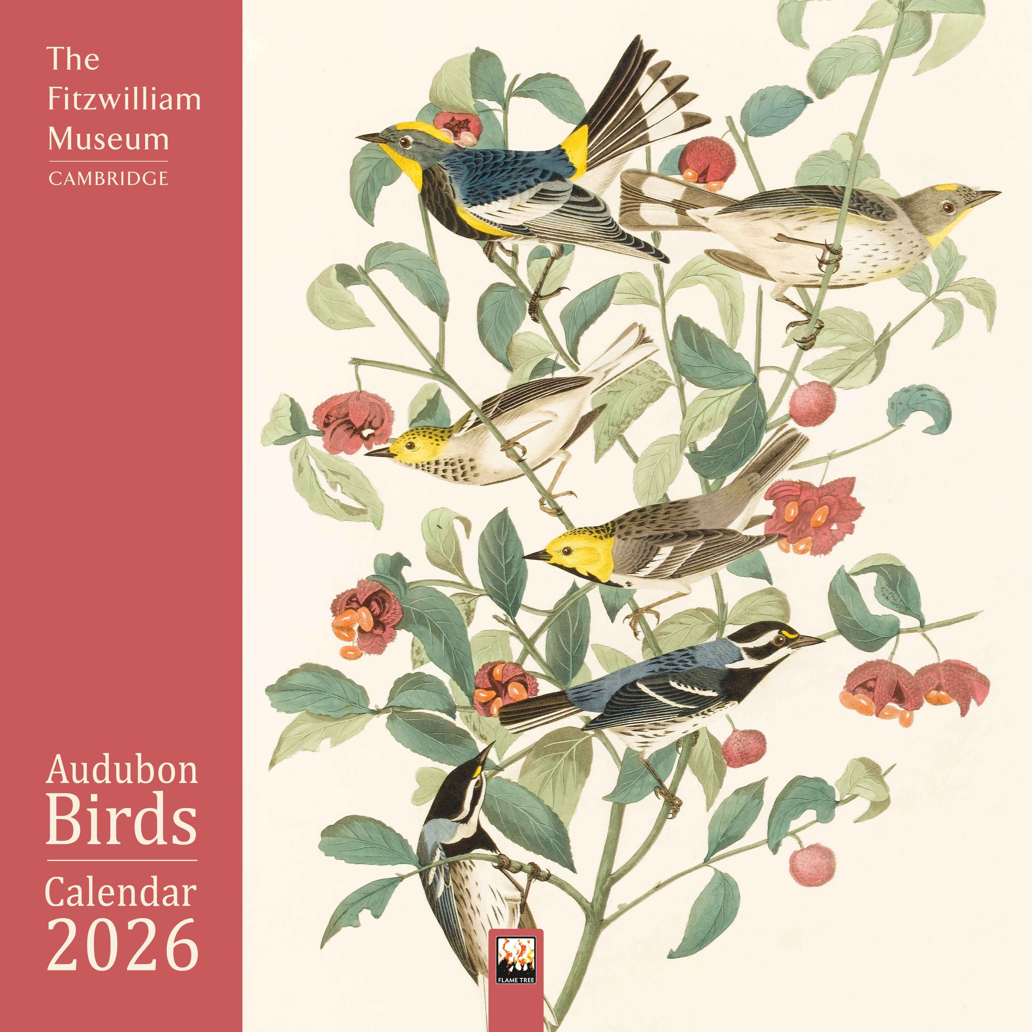 Kalender 2026 30x30 Audubon Birds