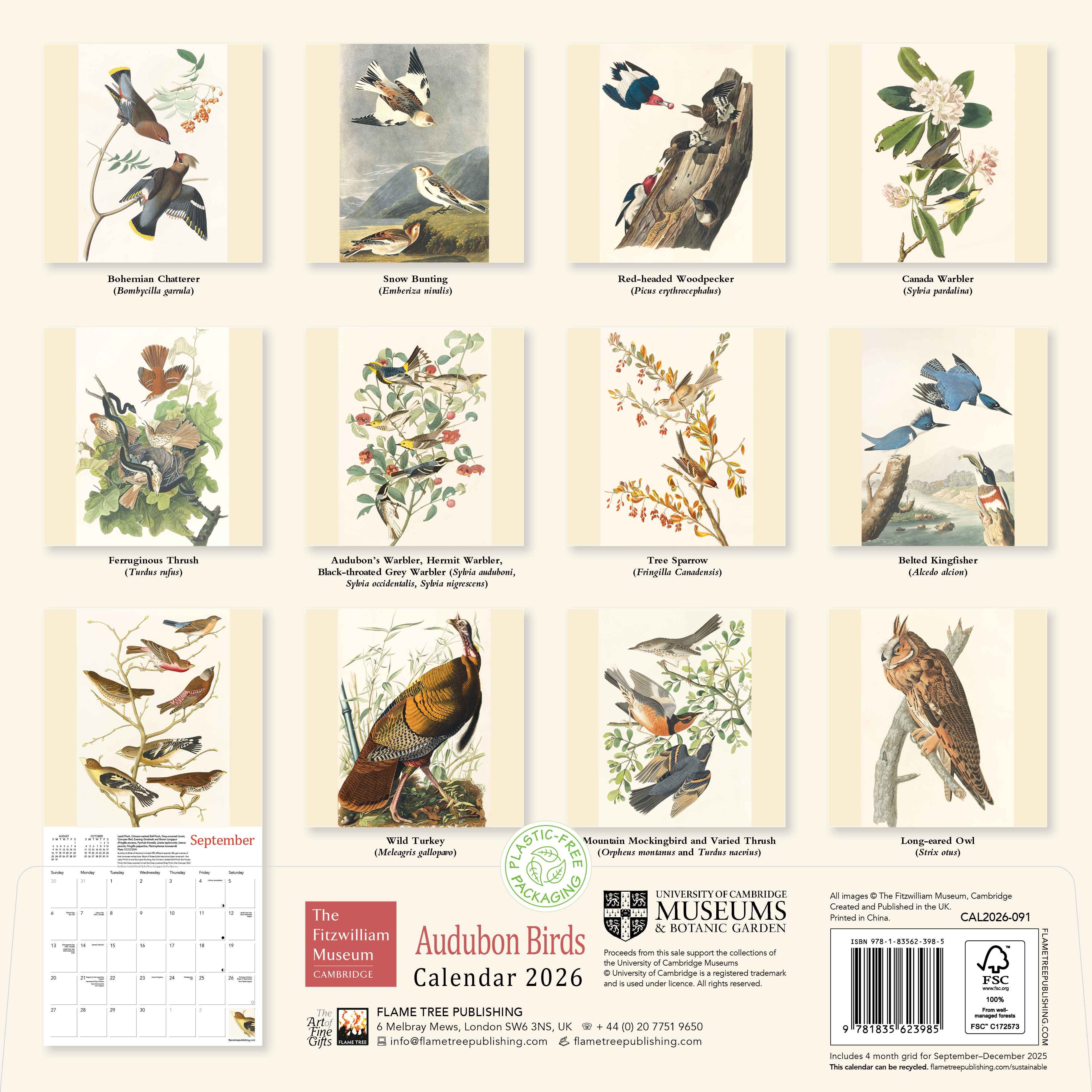 Kalender 2026 30x30 Audubon Birds