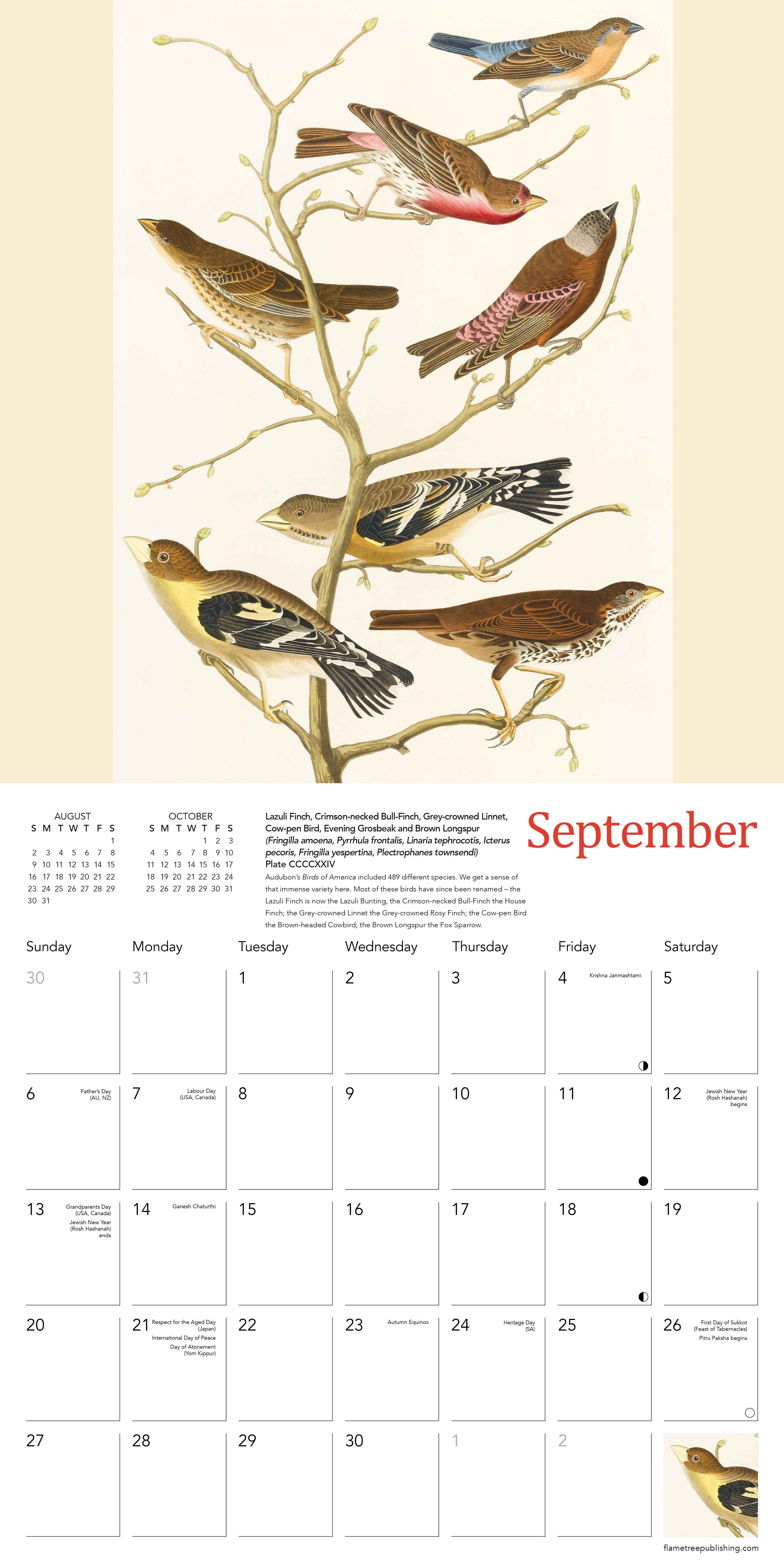 Kalender 2026 30x30 Audubon Birds