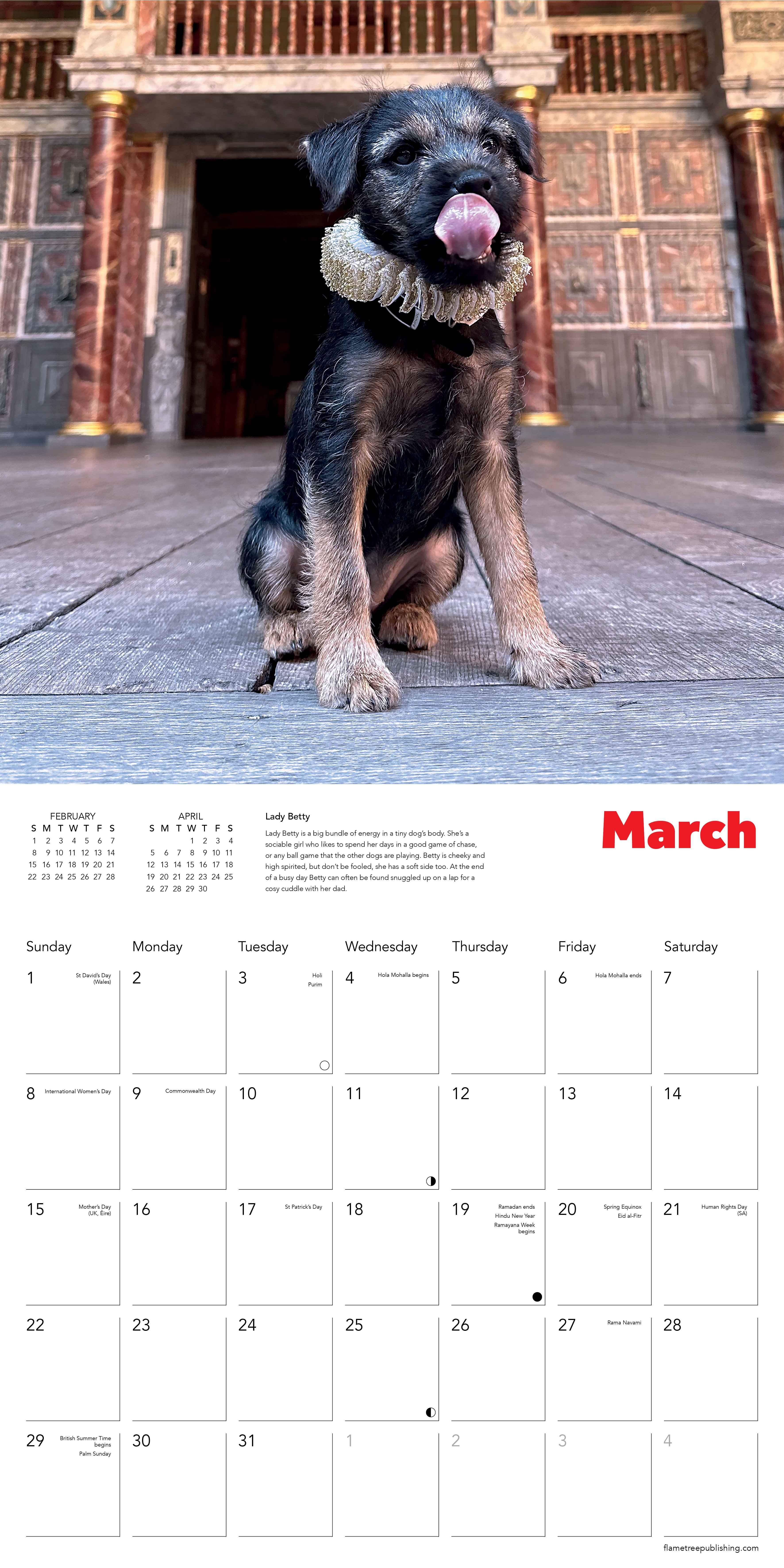 Kalender 2026 30x30 Dogs in Ruffs