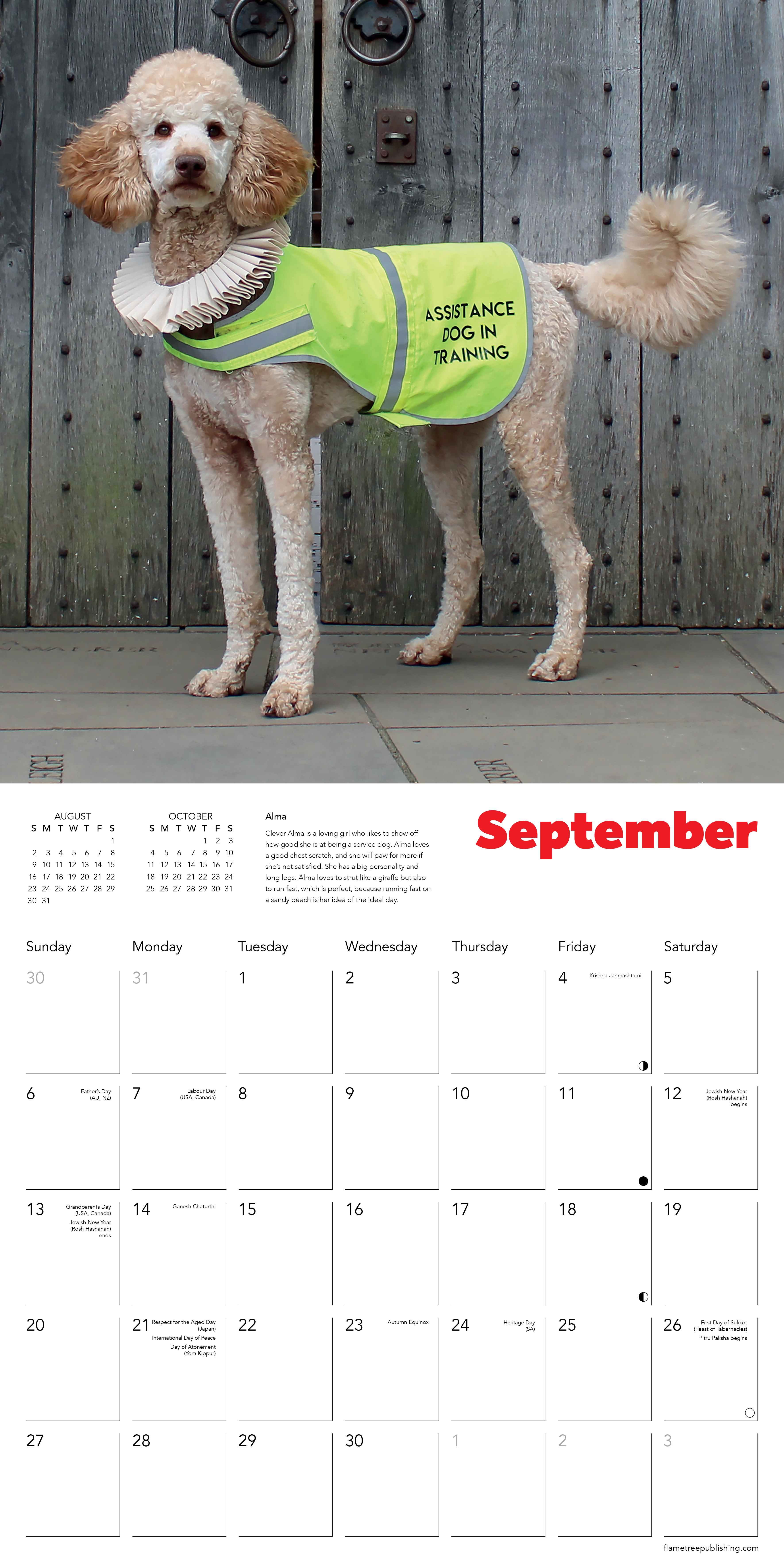 Kalender 2026 30x30 Dogs in Ruffs