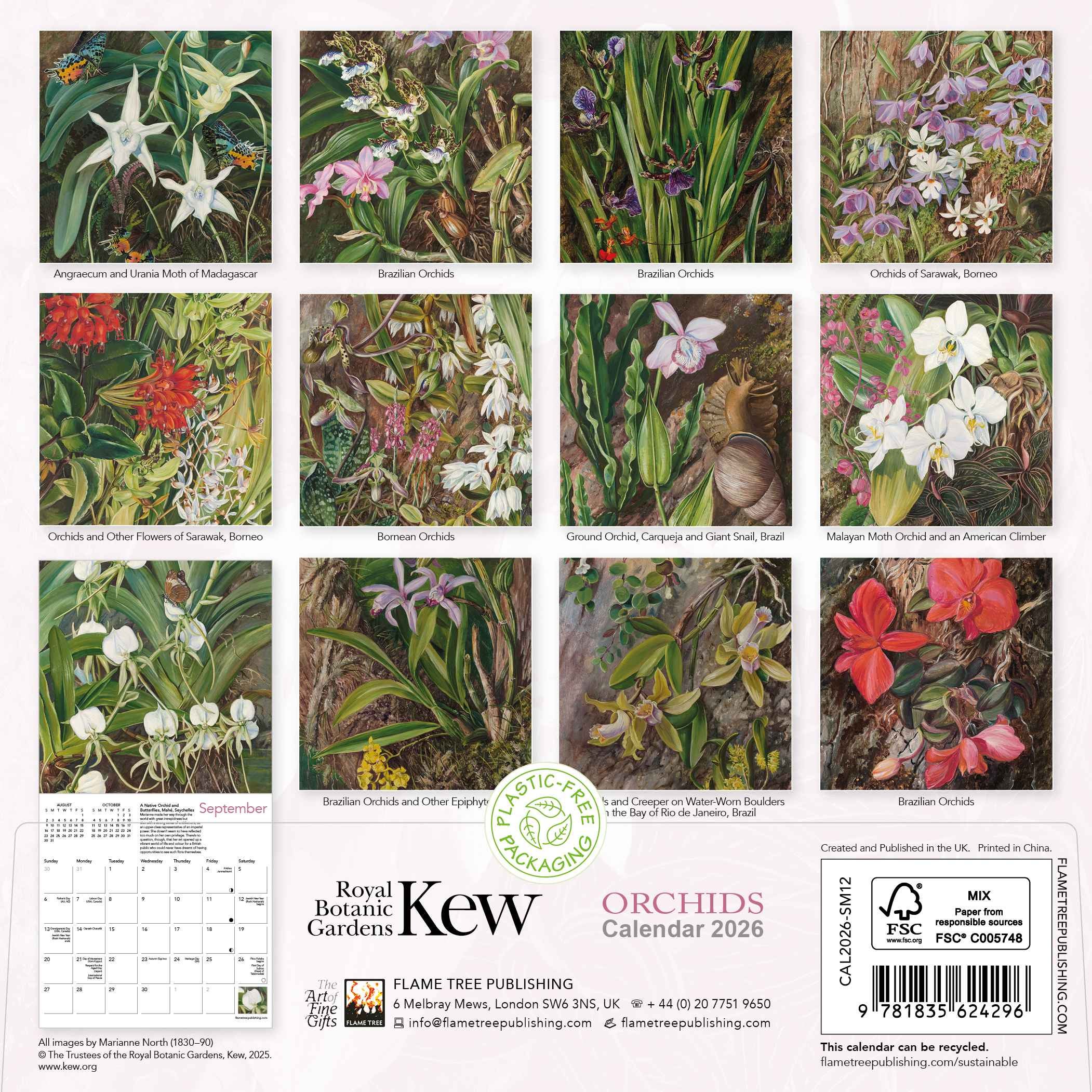 Kalender 2026 18x18 Orchids