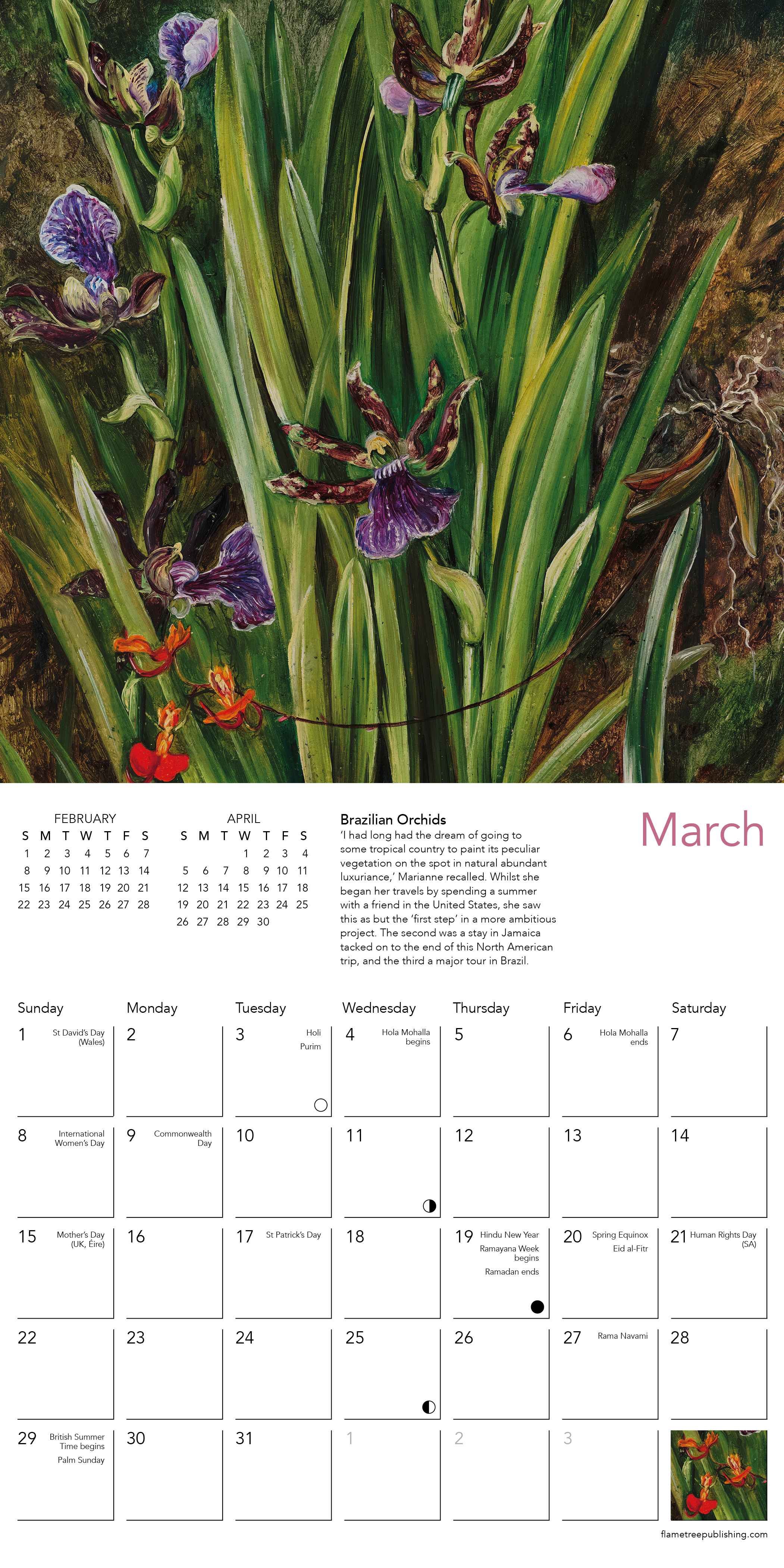 Kalender 2026 18x18 Orchids