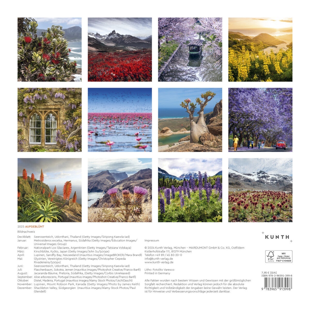 Kalender 2025 Blossomed 30x30cm