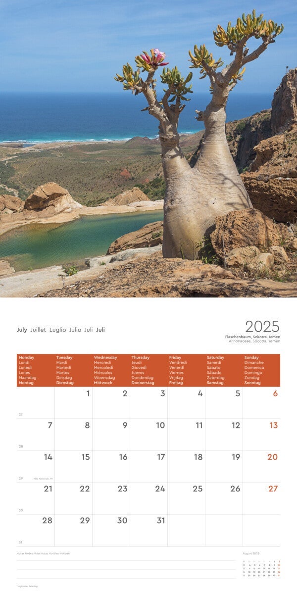 Kalender 2025 Blossomed 30x30cm