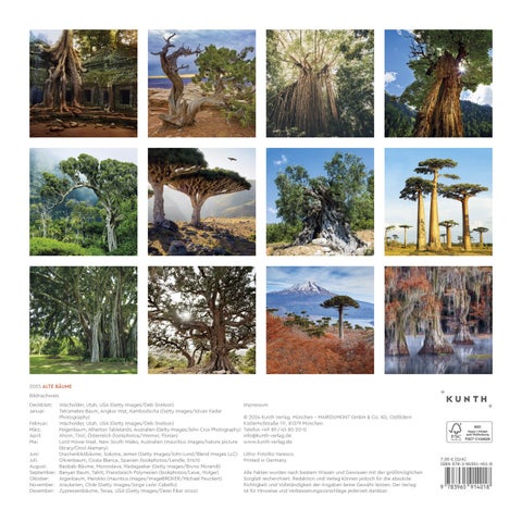 Kalender 2025 Old trees 30x30cm