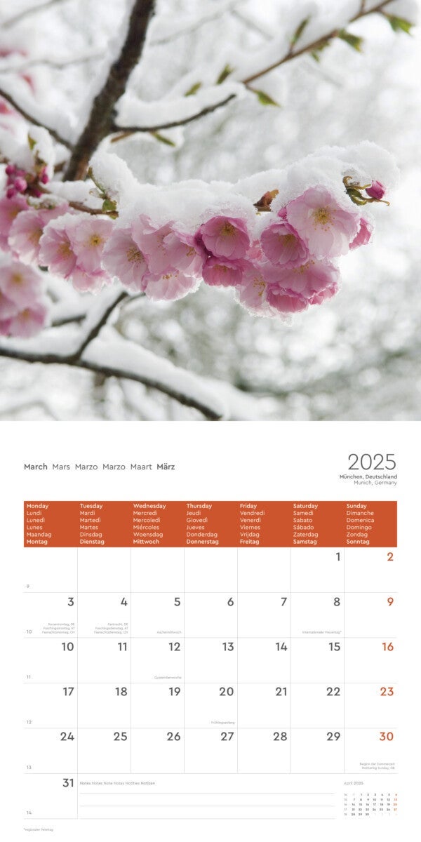 Kalender 2025 Seasons 30x30cm