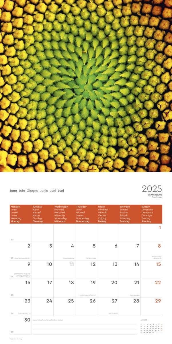Kalender 2025 Marvel of Nature 30x30cm