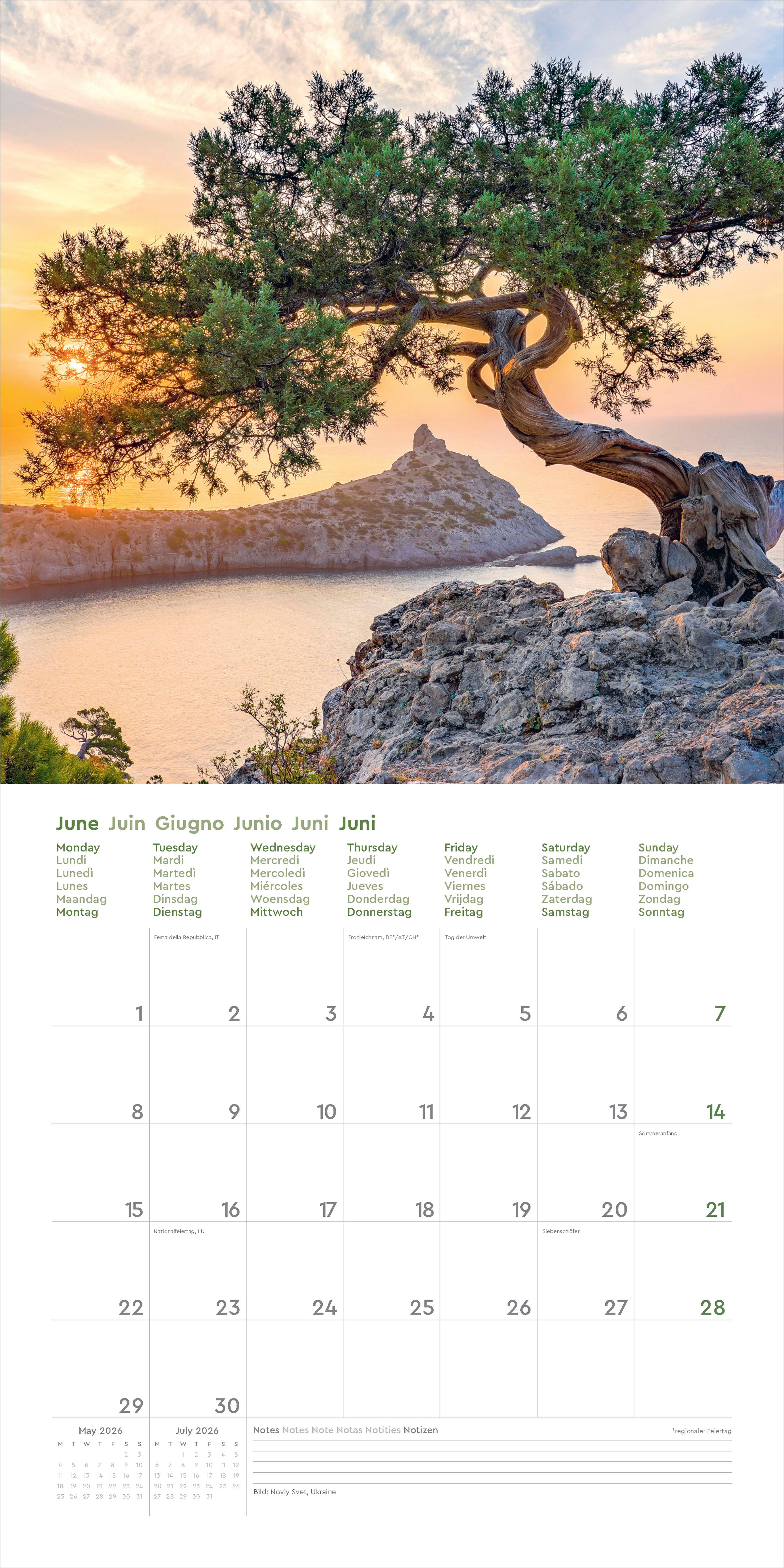 Kalender 2026 30x30 Old Trees