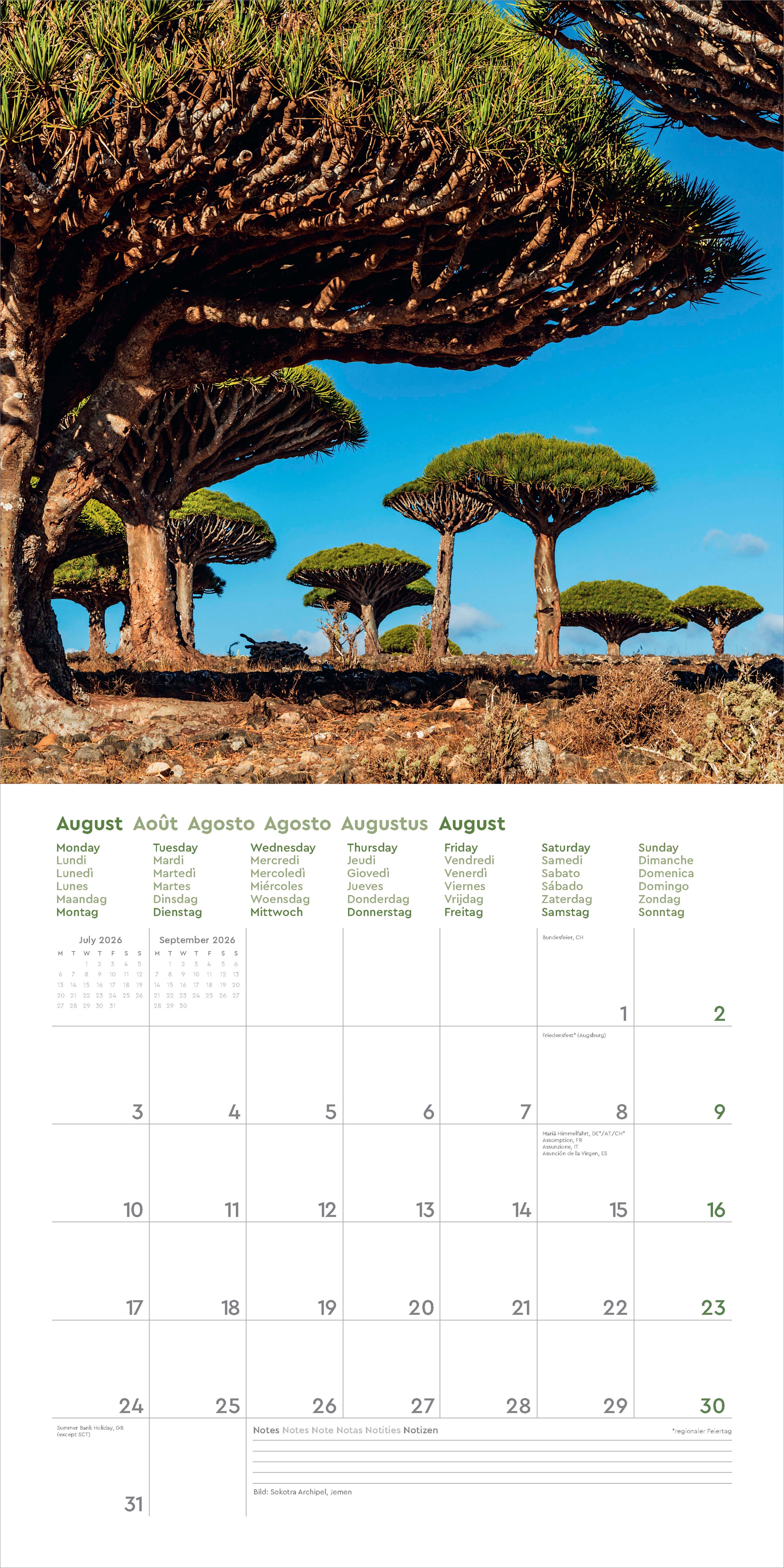 Kalender 2026 30x30 Old Trees