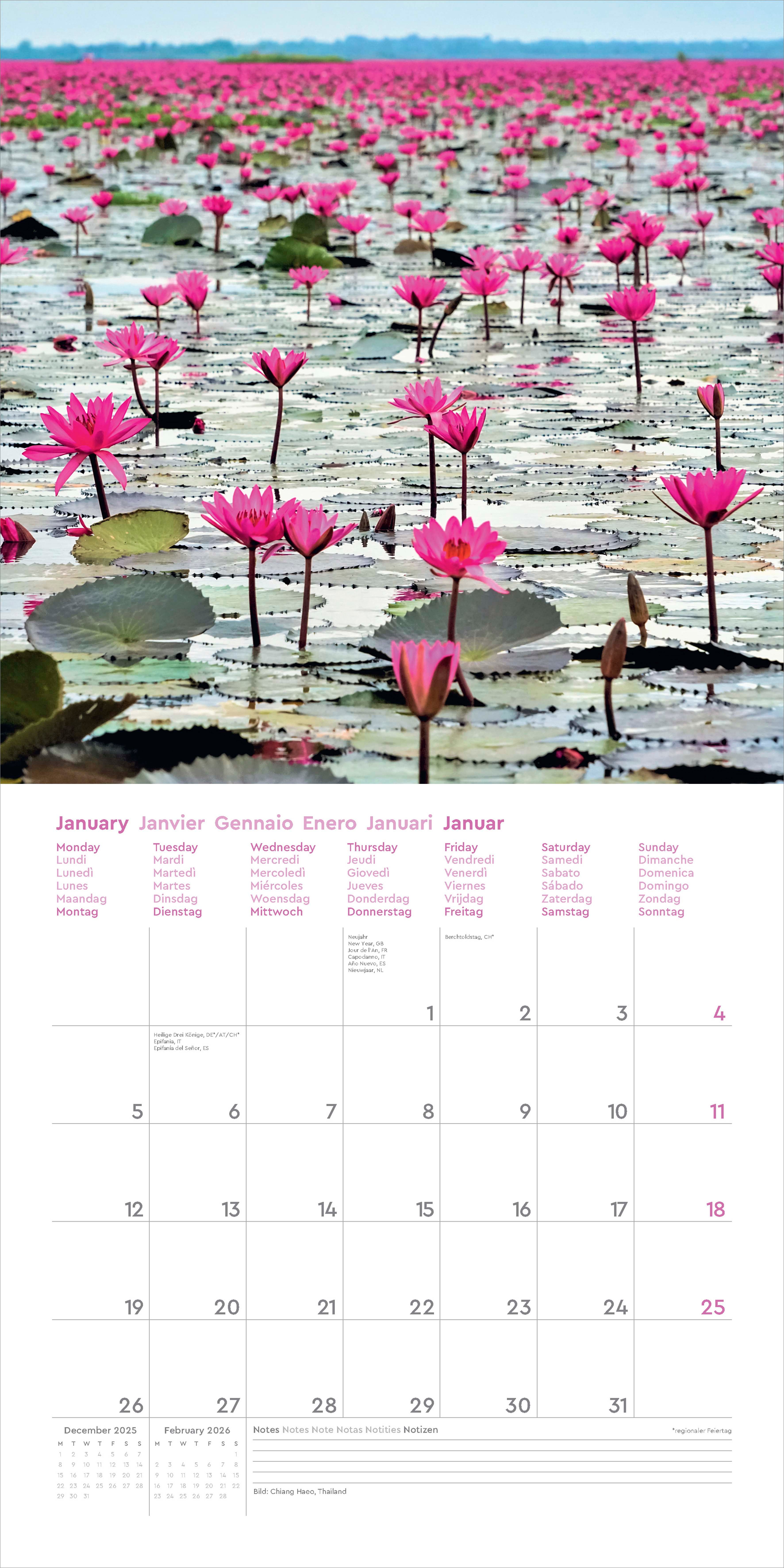 Kalender 2026 30x30 Blossomed