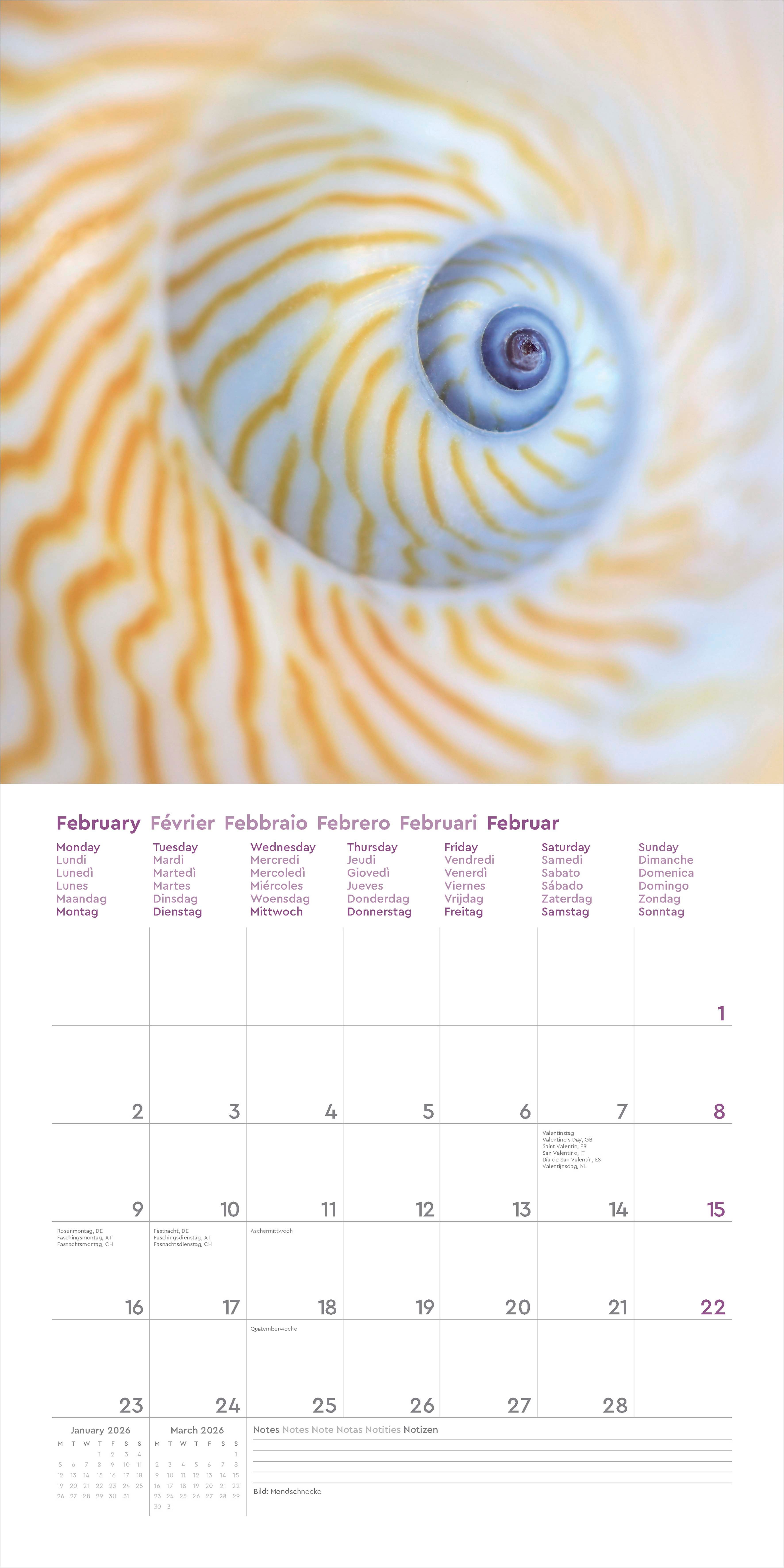 Kalender 2026 30x30 Marvel of Nature