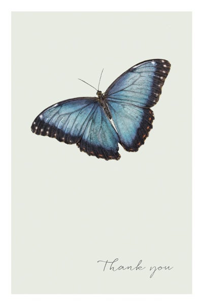 Kortpakke Thank You Sommerfugl 10pk