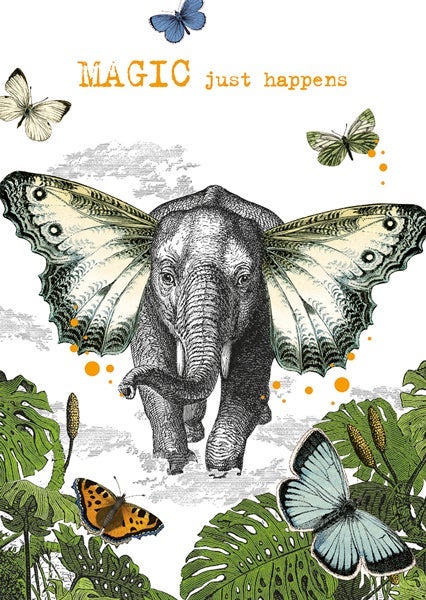 Kort Pabuku Magic Just Happens