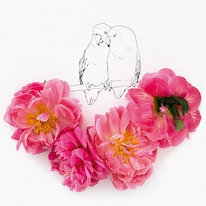 Kort 15X15 Kari Herer Lovebirds
