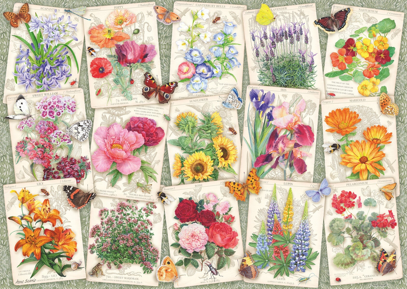 Puslespill 1000 Hage Blomster Ravensburger