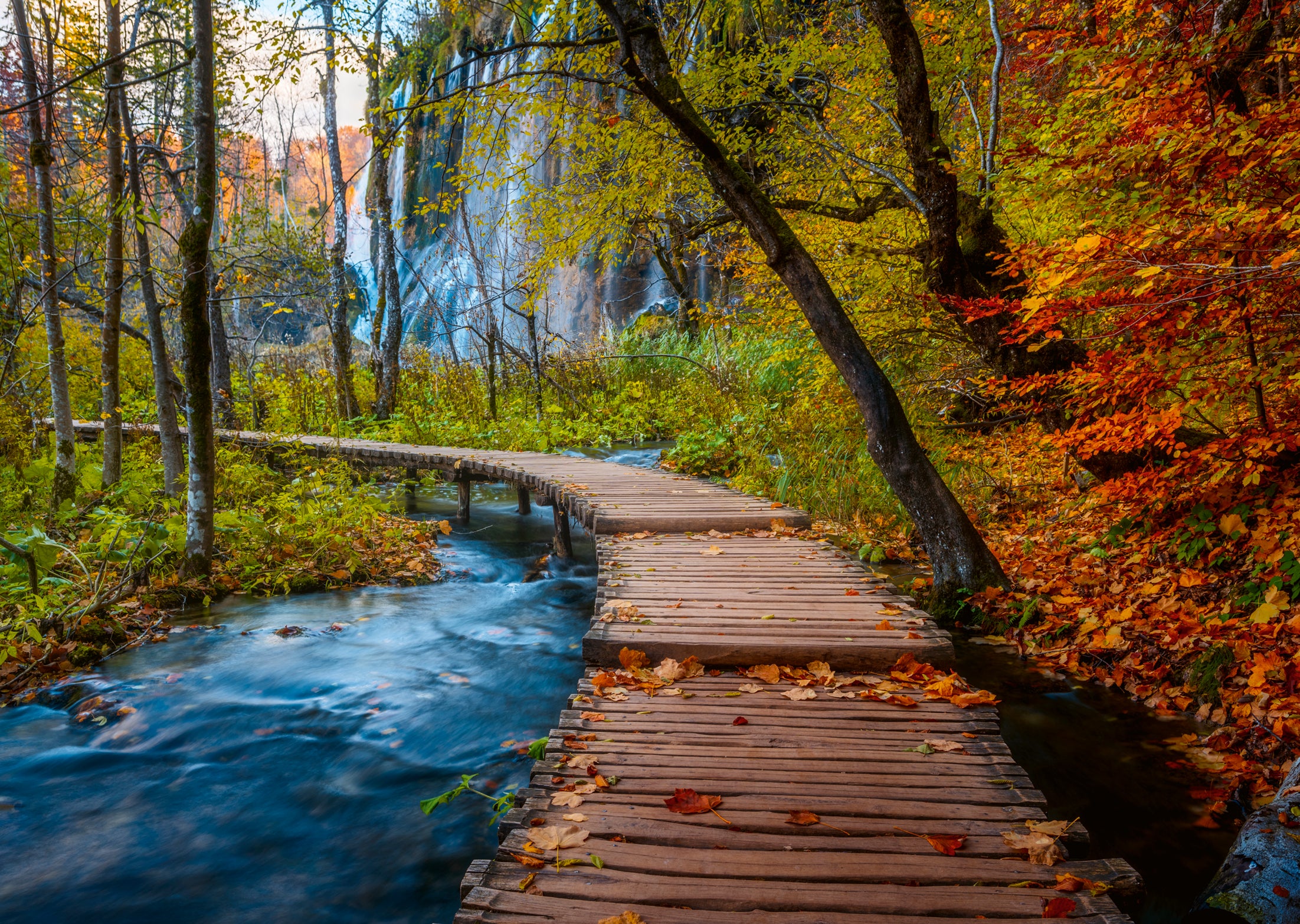 Puslespill 1000 Høstlig Skogsti Raven