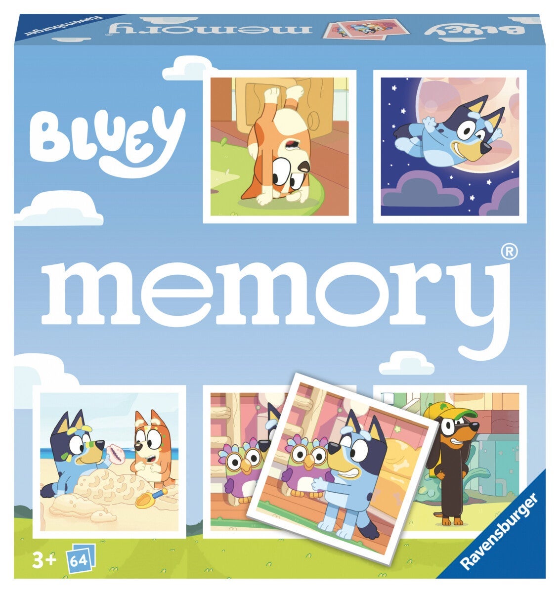 Spill Bluey Memory