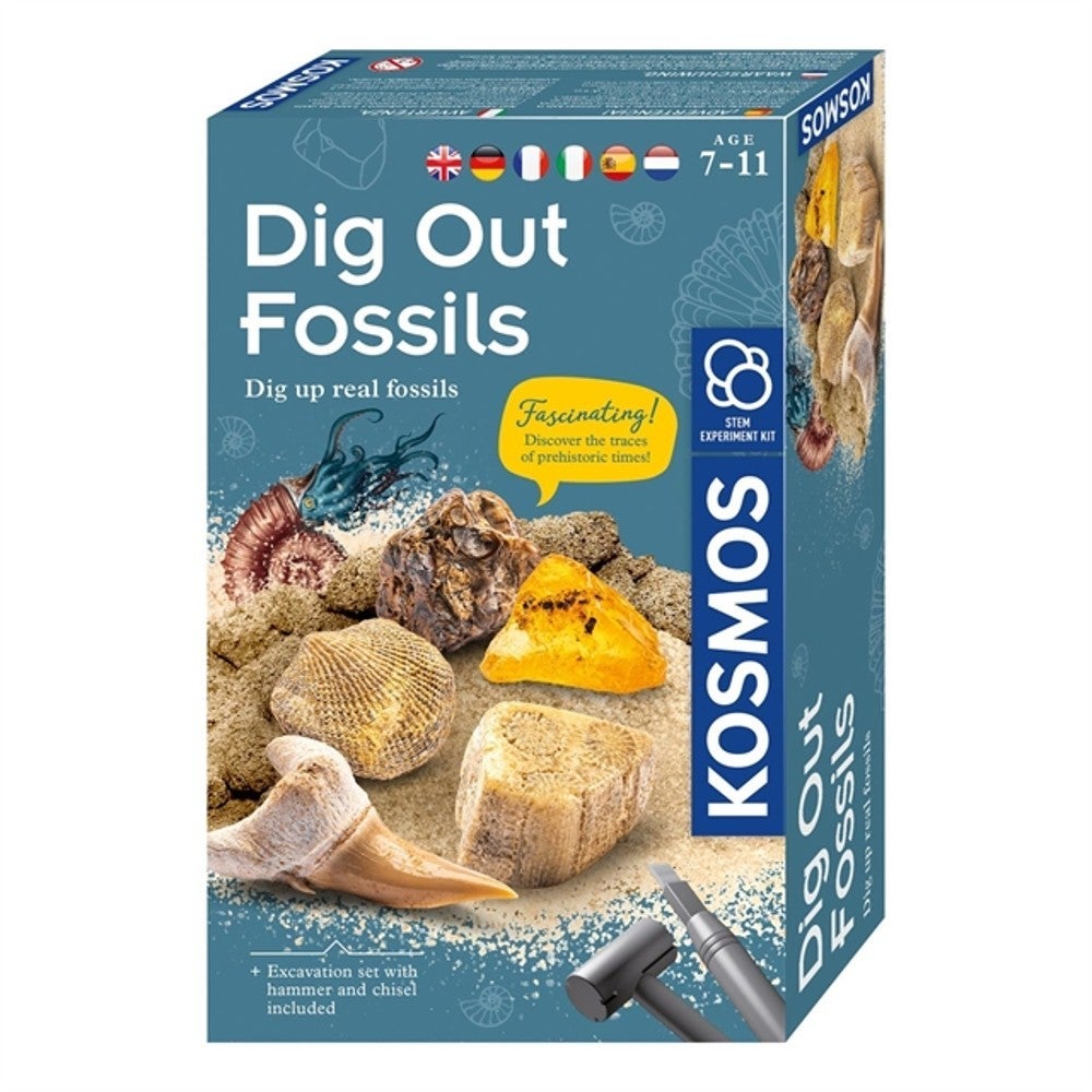 Dig Out Fossils Science Kit