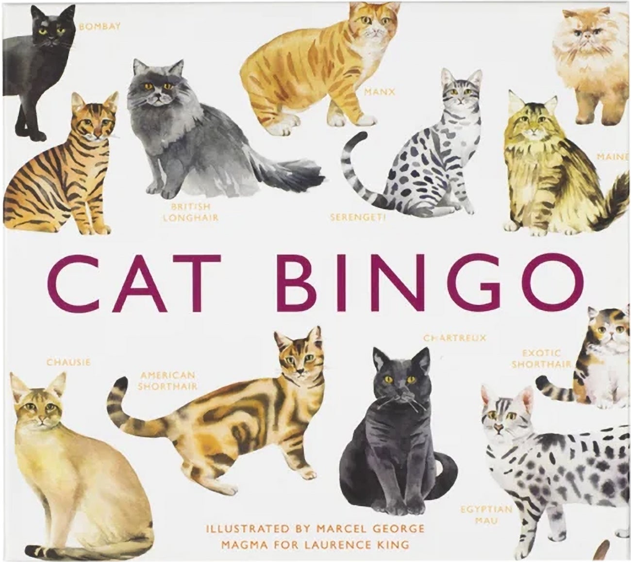 Cat Bingo