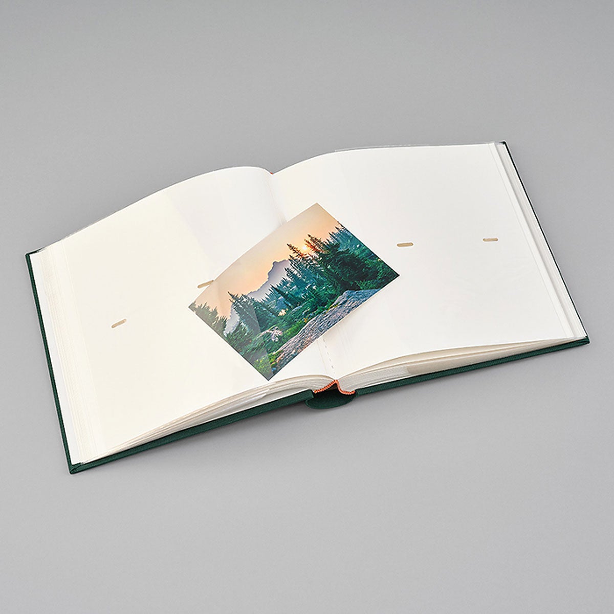 Fotoalbum Classic 200 Forest