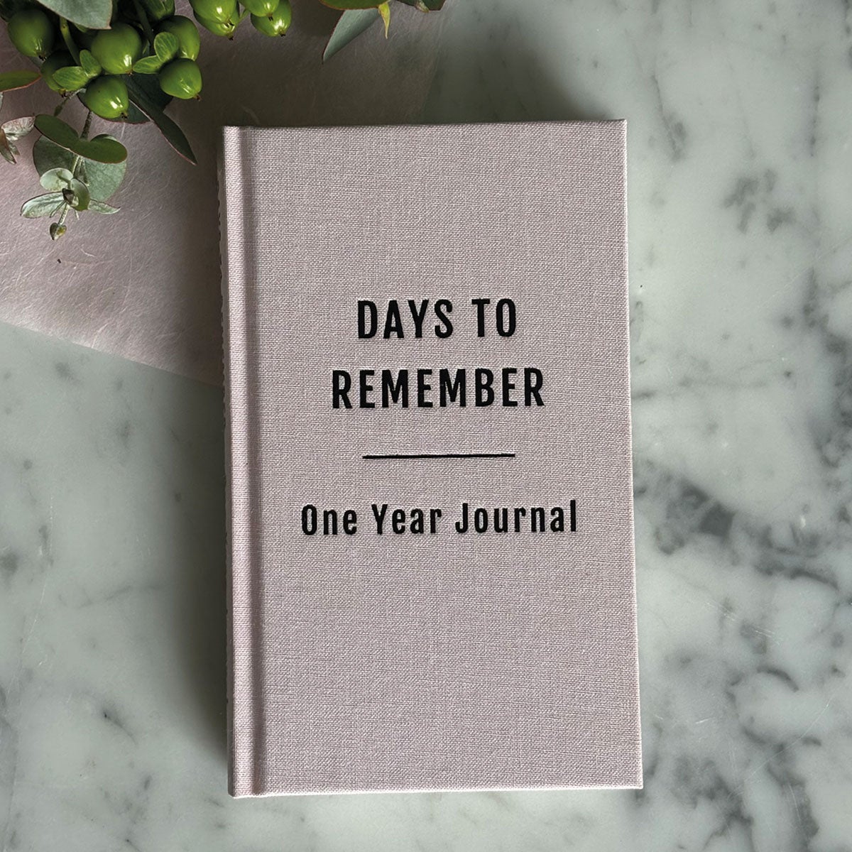 Dagbok One Year Journal Dusty Rose