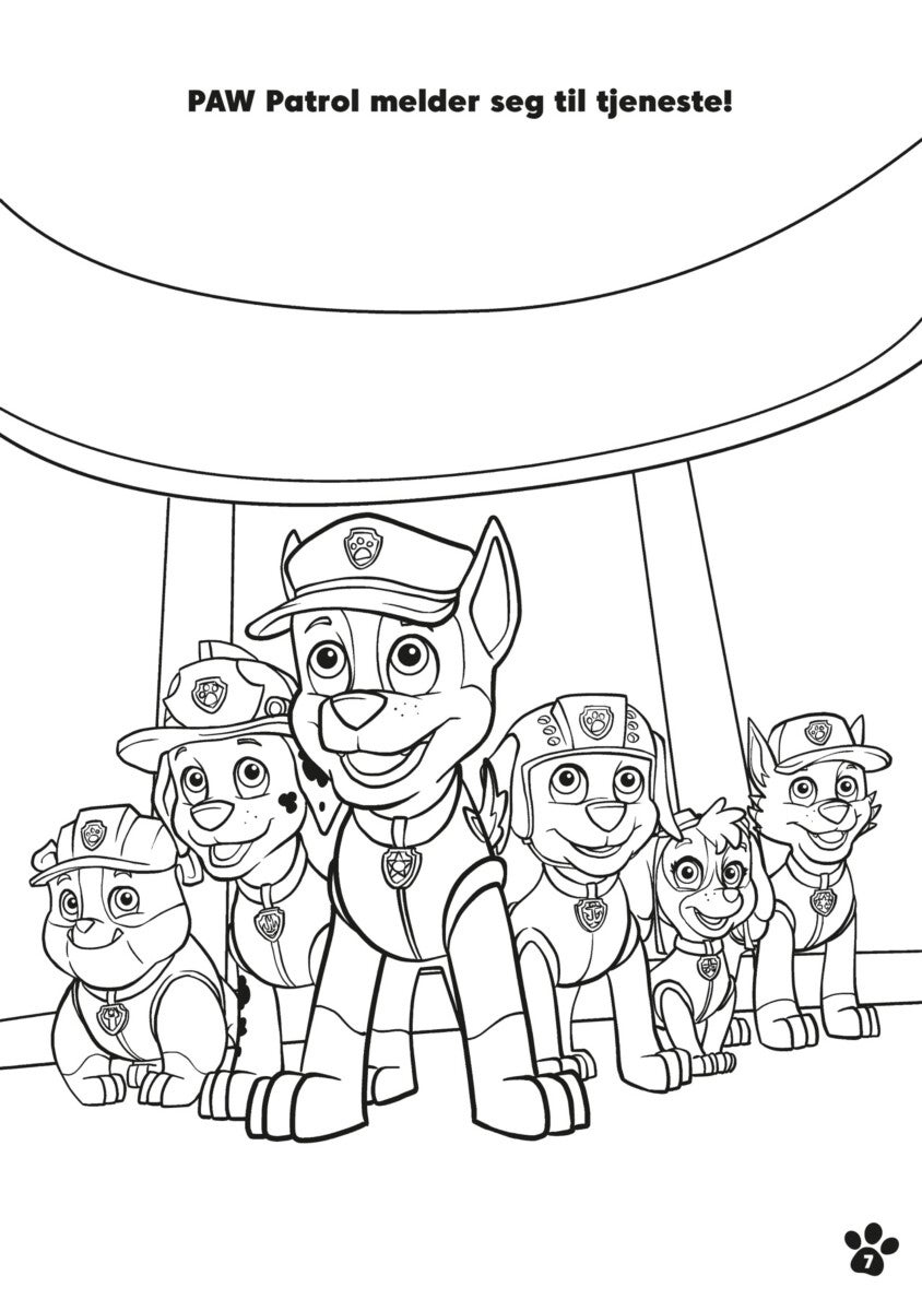 Malebok Paw Patrol m/klistremerker