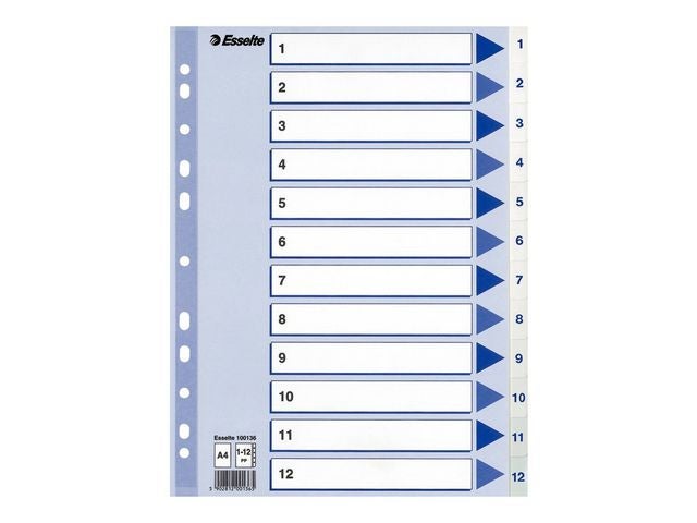 Register Esselte plast A4 1-12 blå/hvit