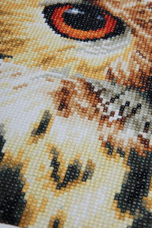 Hobbysett Diamond painting Ugle