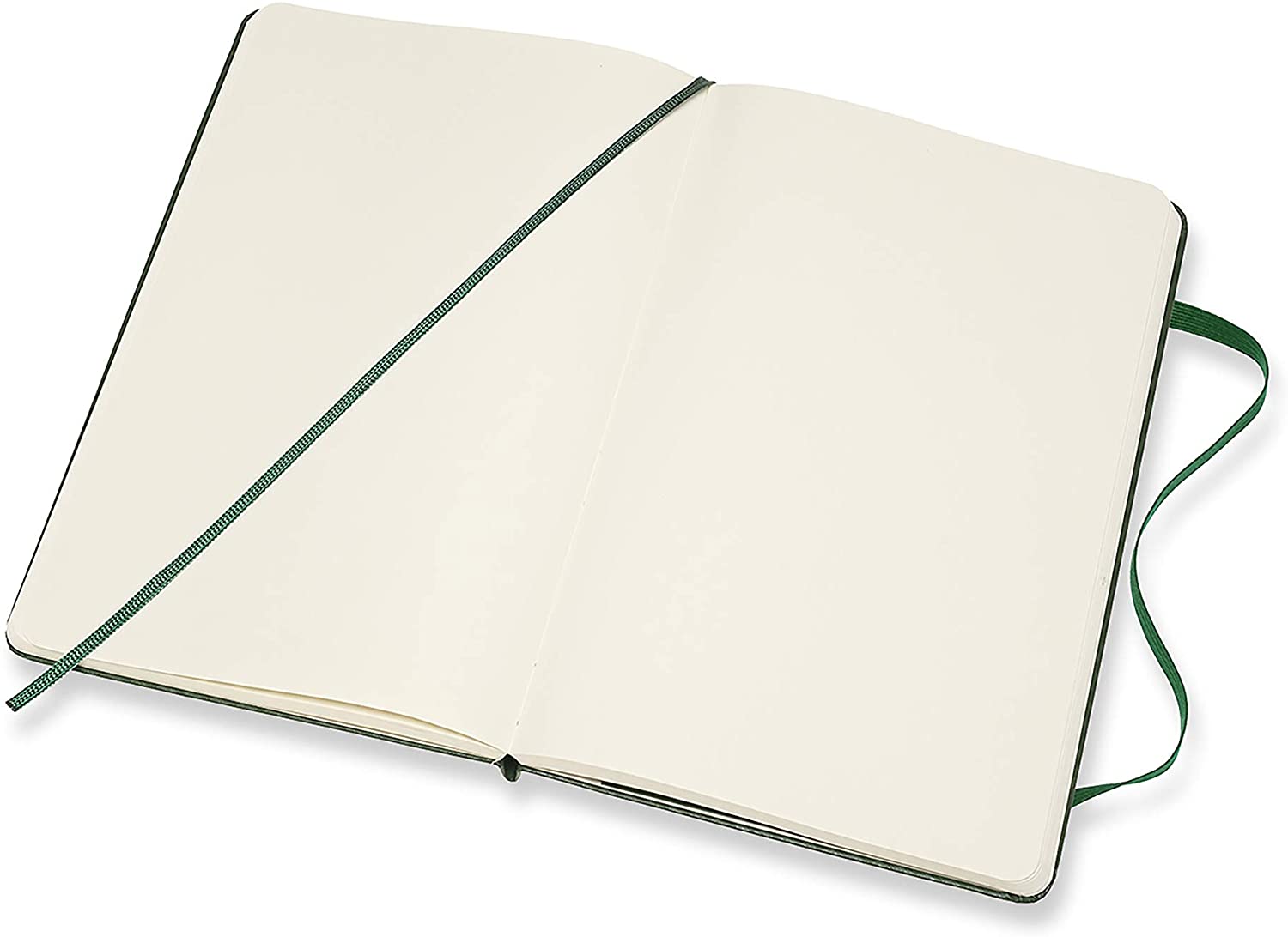 Notatbok Moleskine Classic Hard L - Blank Myrtle G