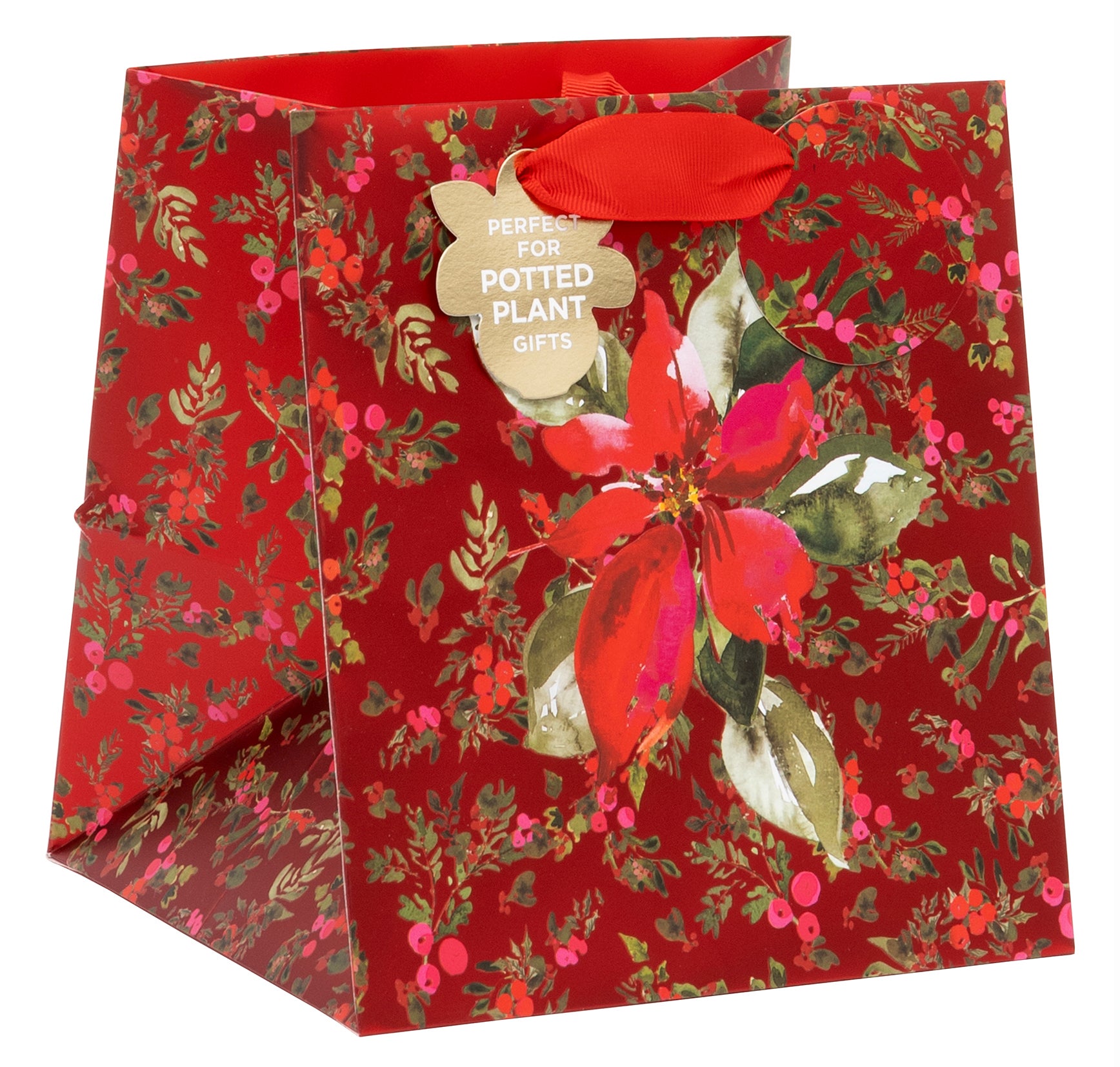 Gavepose Plante Perfect Poinsettia Red