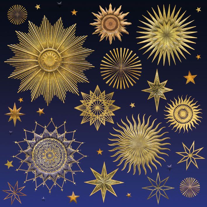 Kort Matthew Williamson Stardust