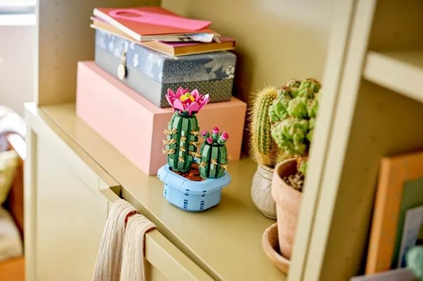 Lego Blomstrende kaktus 11509