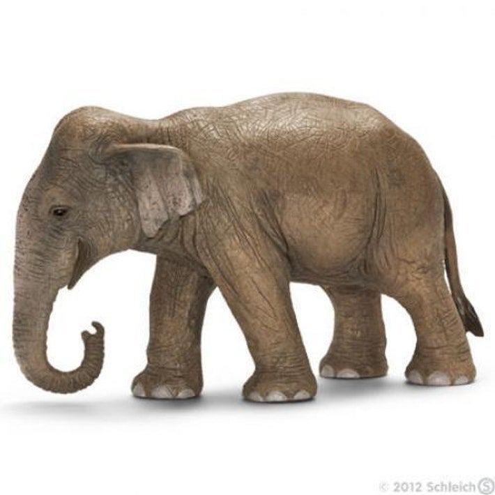 Schleich Asiatisk elefant