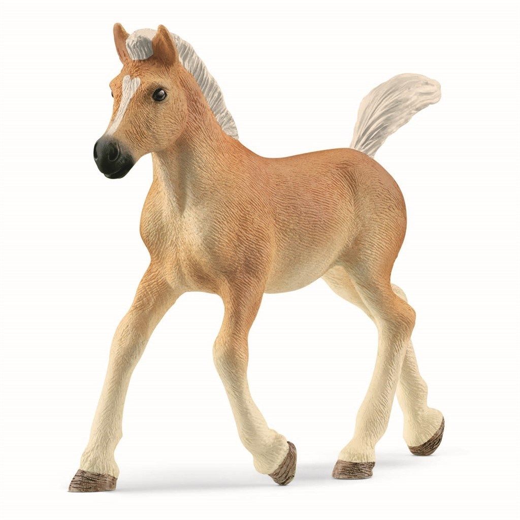 Schleich Haflinger føll