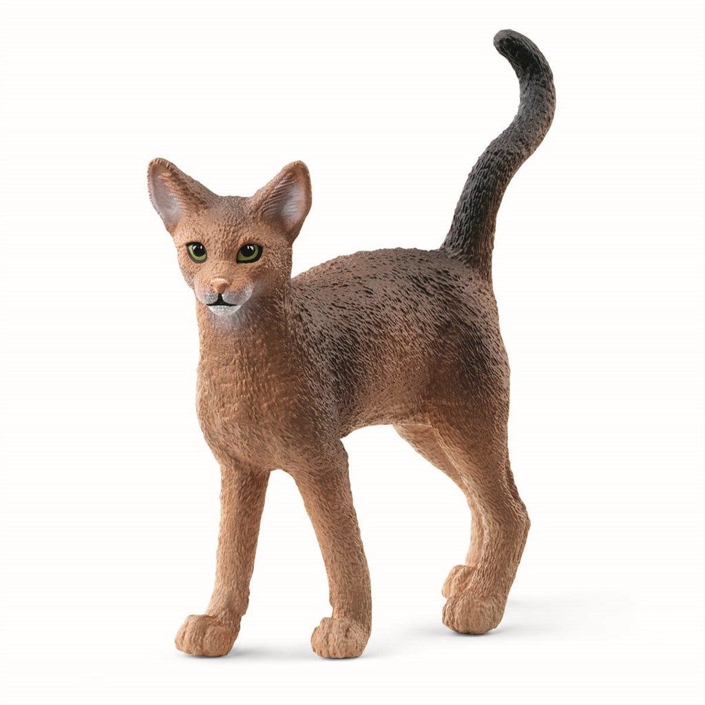 Schleich Abyssinerkatt