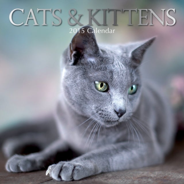 Kalender LP 2015 Cats&Kittens