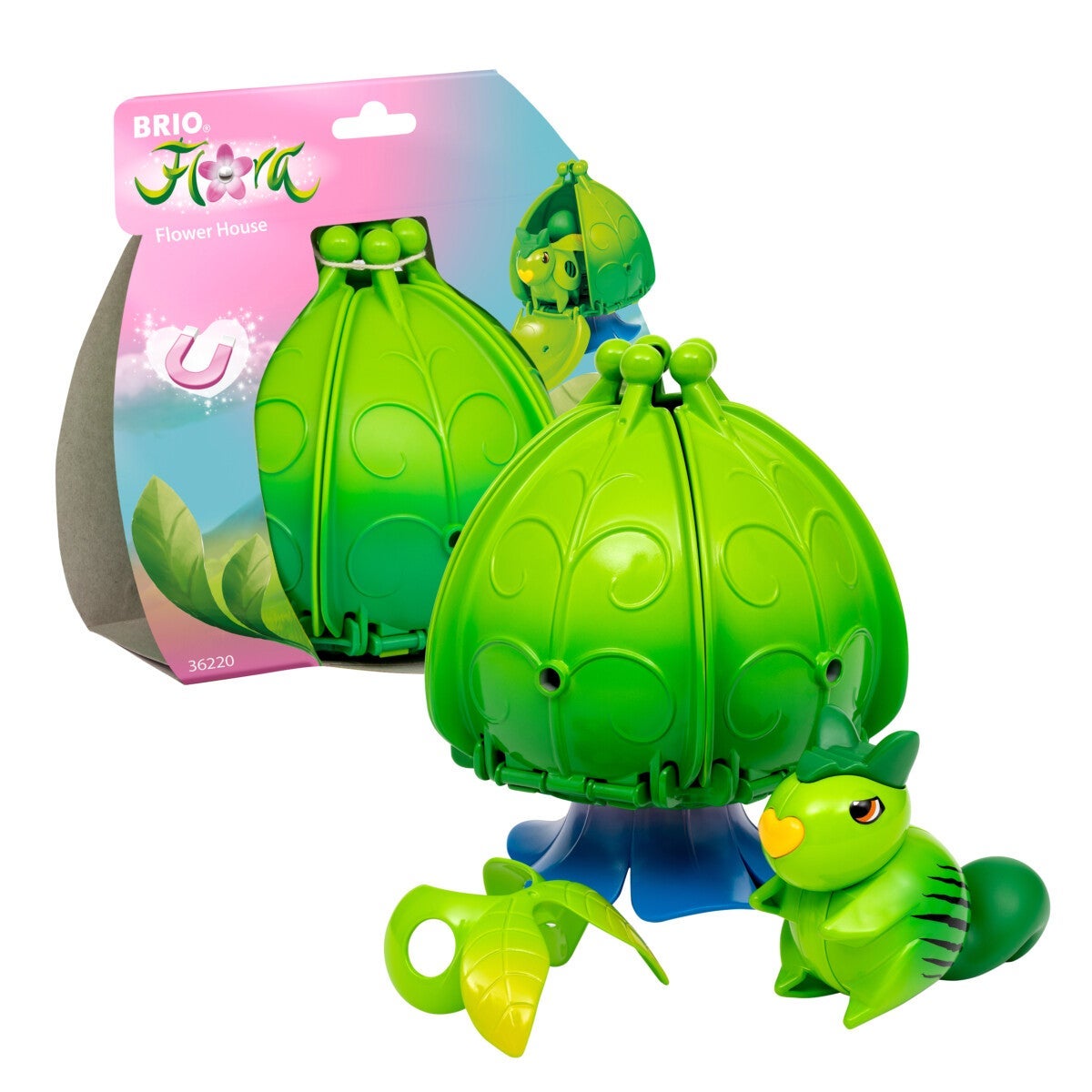 Brio Flora Ivy Flower House