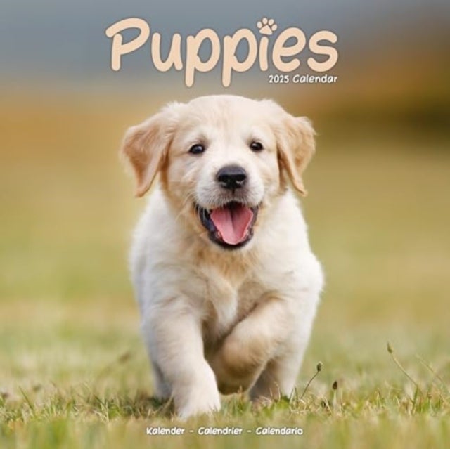 Kalender 2025 Puppies 30x30cm