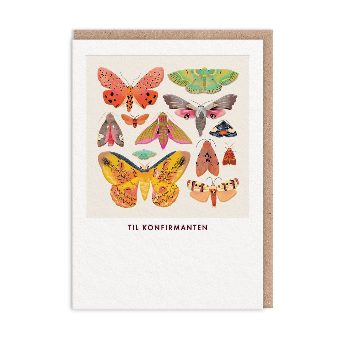 Kort konfirmasjon Moths And Butterflies